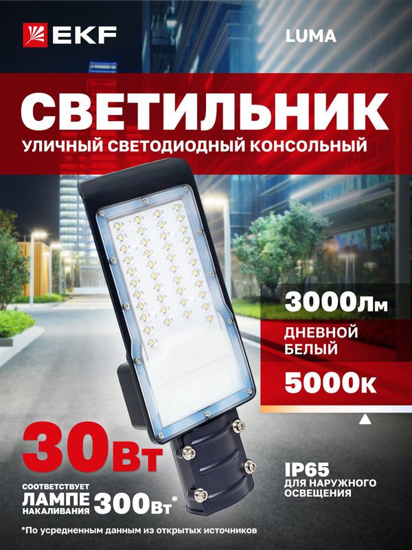 Светильник уличный светодиодный консольный EKF ДКУ-9001-Ш 30Вт 5000К IP65