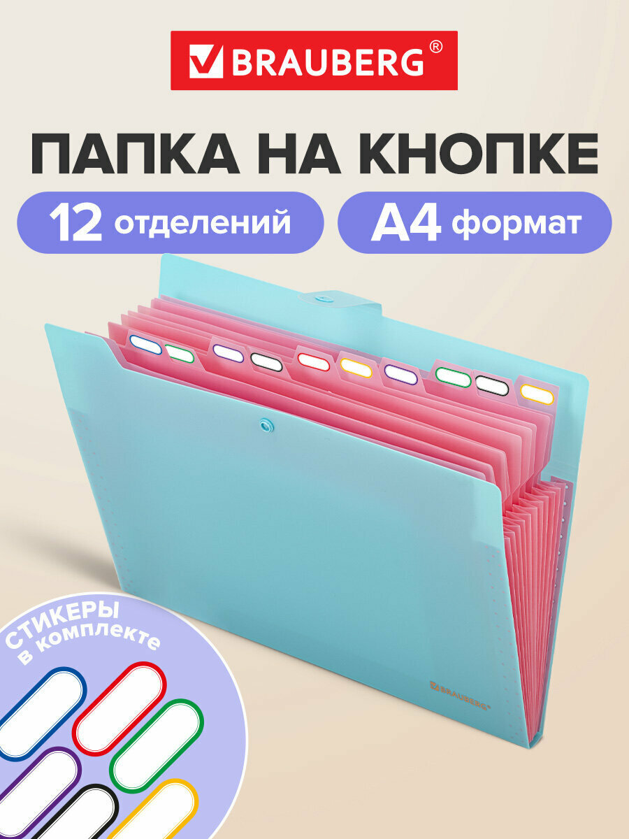 Папка-органайзер на кнопке 12 отделений, Brauberg Extra, А4, голубая с розовым, 271932
