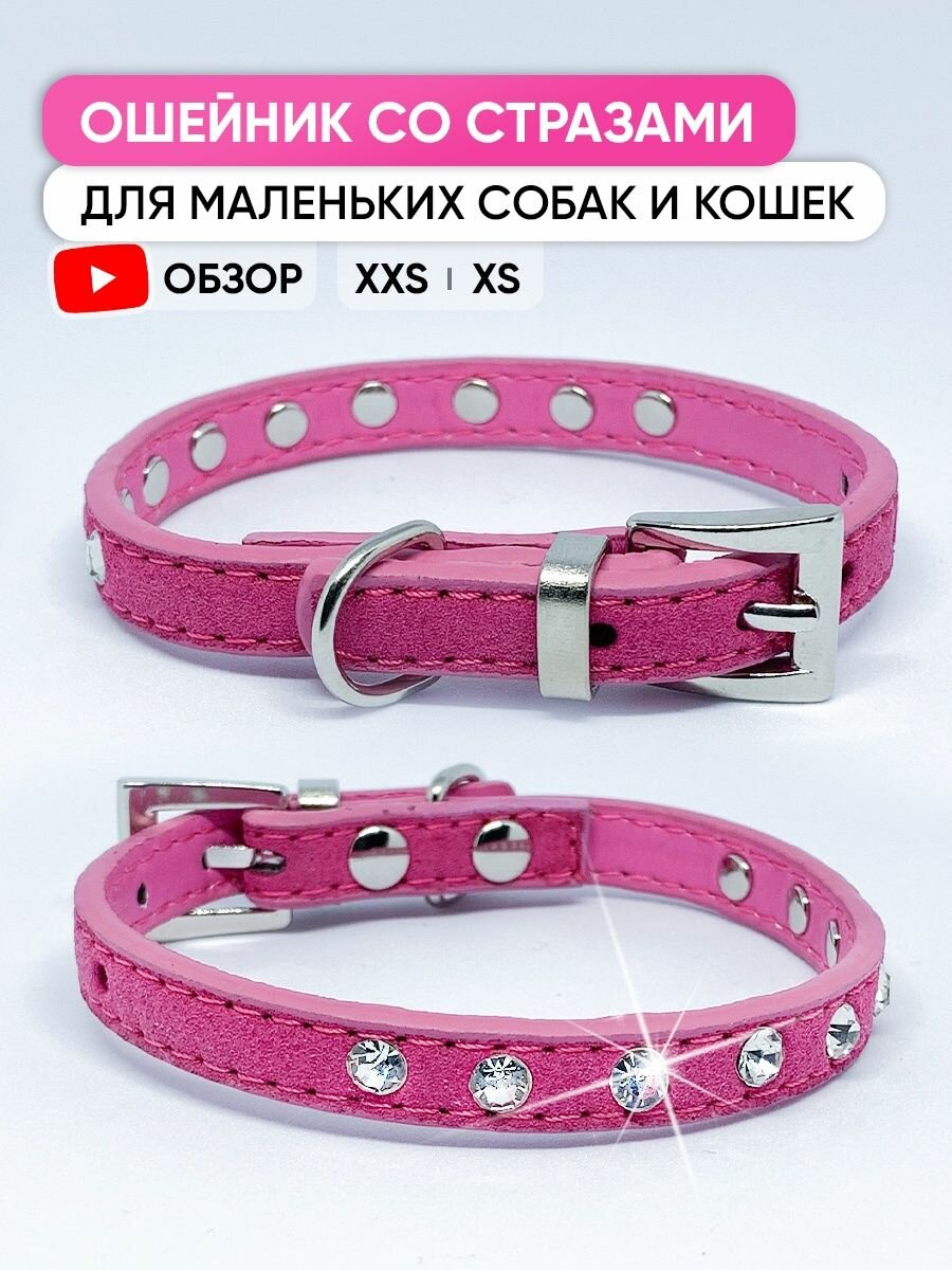 Малиновый ошейник со стразами для собак мелких пород и кошек, XXS / 17см - 22см