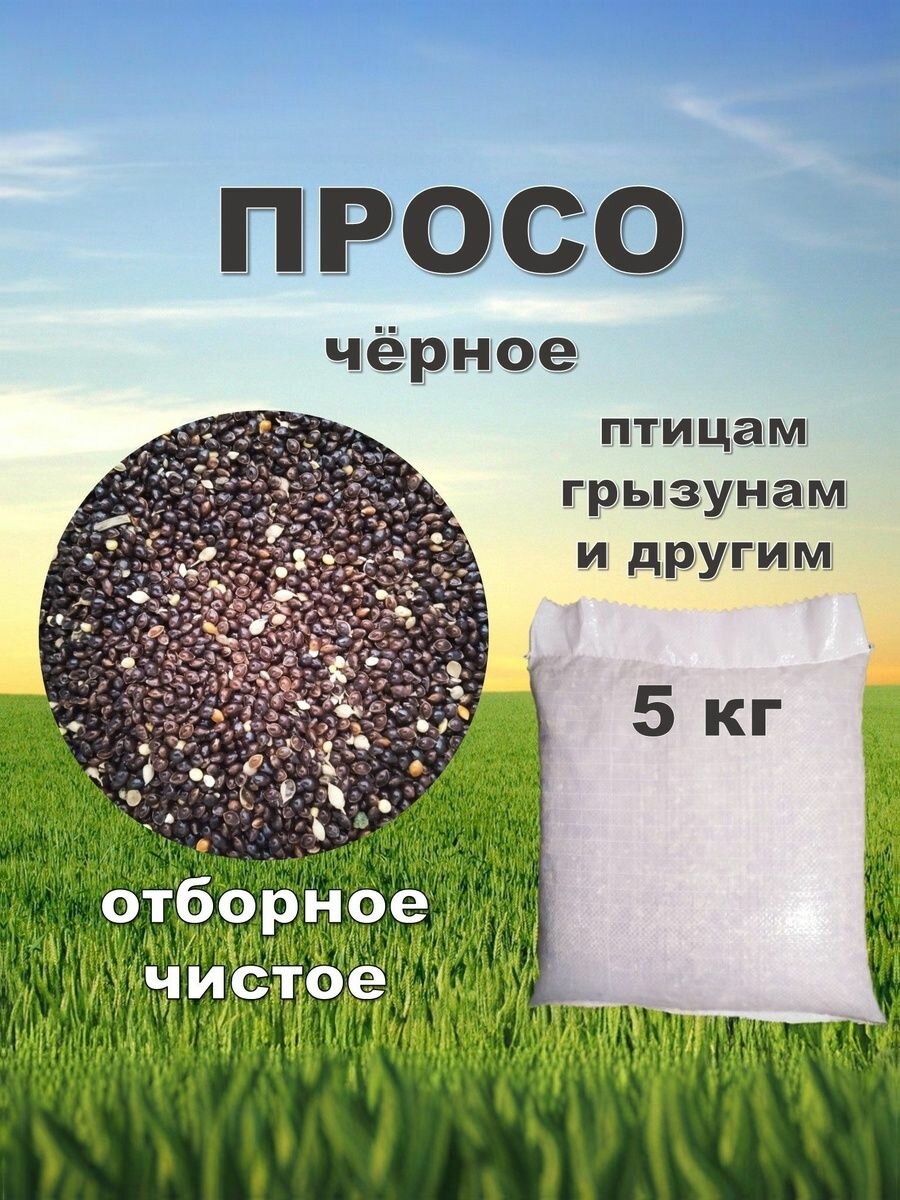 Корм для птиц и грызунов Просо черное, 5 кг