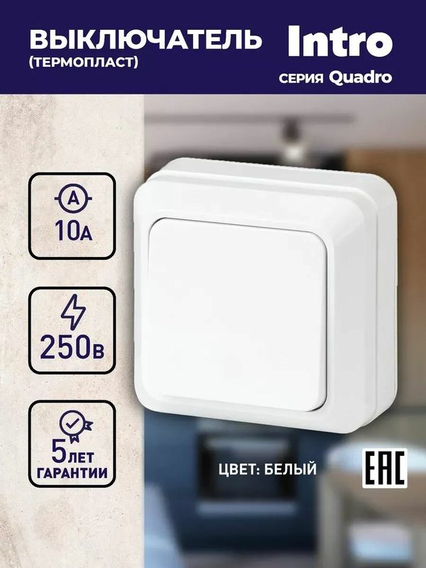 Выключатель Intro Quadro 2-101-01 одноклавишный 10А-250В IP20 ОУ белый