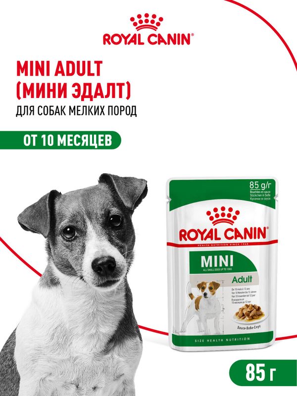 Влажный корм для собак Royal Canin Mini Adult для мелких пород, кусочки в соусе, 28 шт по 85 г