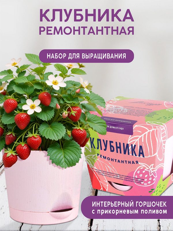 Клубника Набор для выращивания растений от бренда"Тысяча листьев"