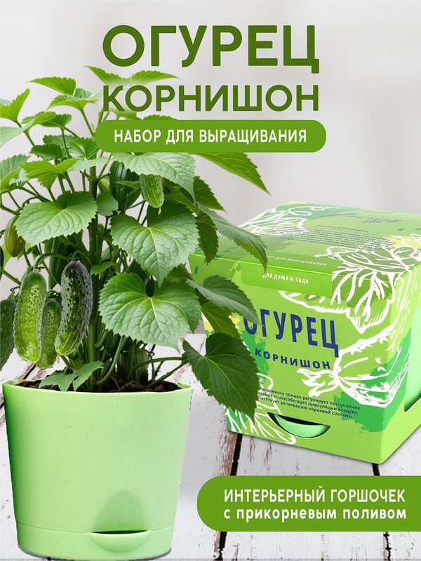 Огурец корнишон Набор для выращивания растений от бренда "Тысяча листьев "