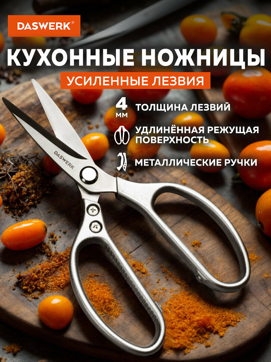Ножницы кухонные Daswerk (Дасверк), 210 мм, удлиненное лезвие, металлические ручки, 608900
