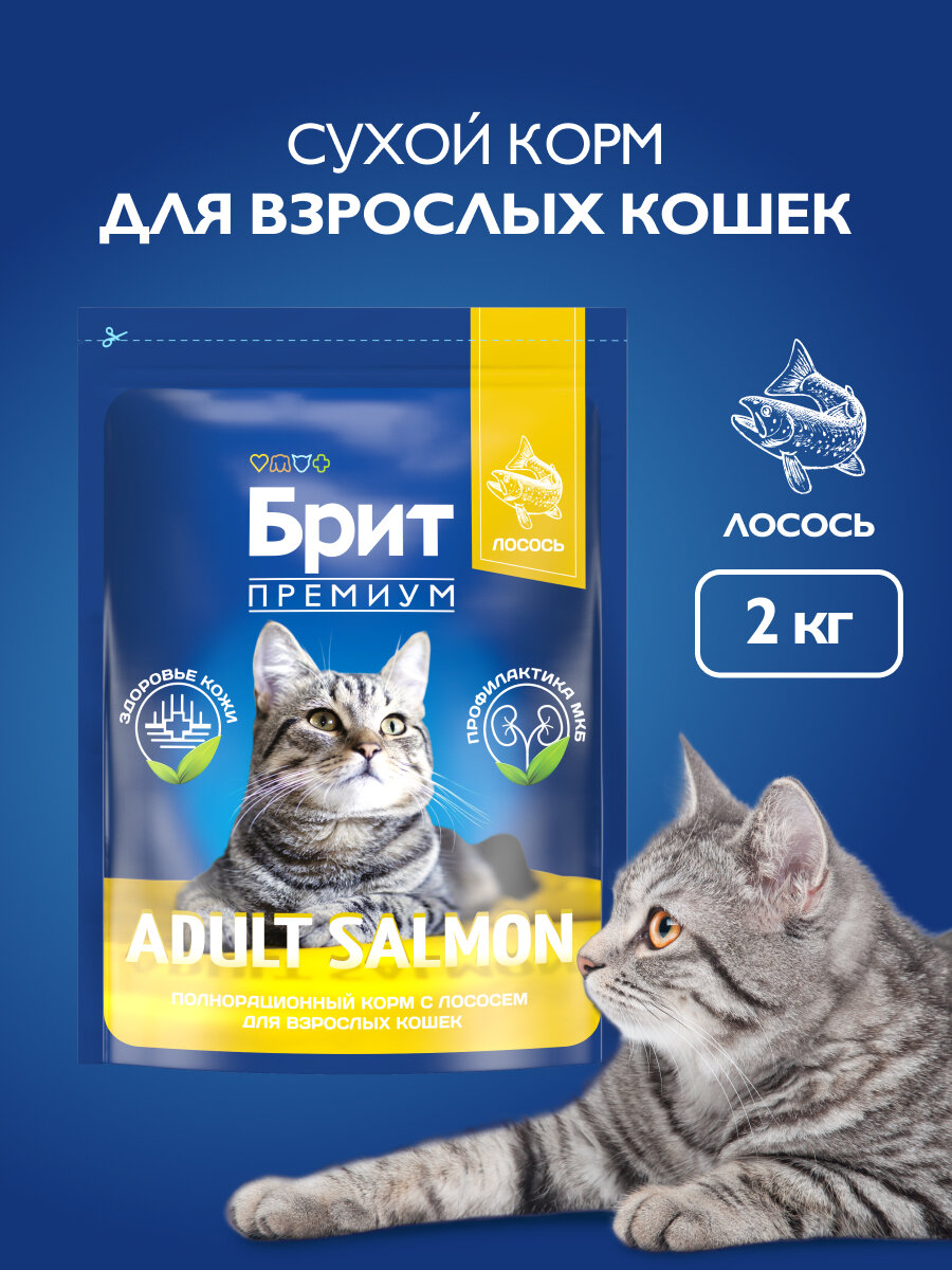 Сухой корм для кошек, премиум, со вкусом лосось, 2 кг Брит Премиум
