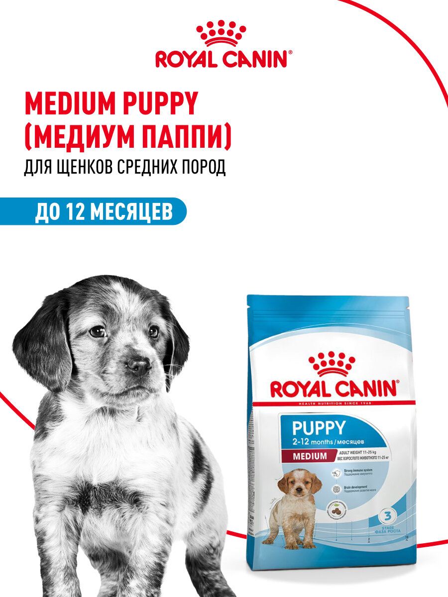 Сухой корм для щенков Royal Canin Medium Puppy для средних пород, 3 кг