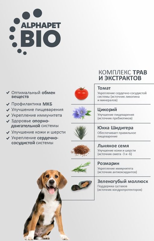 AlphaPet WOW Superpremium сухой корм для взрослых собак мелких пород Индейка и рис, 500 г.