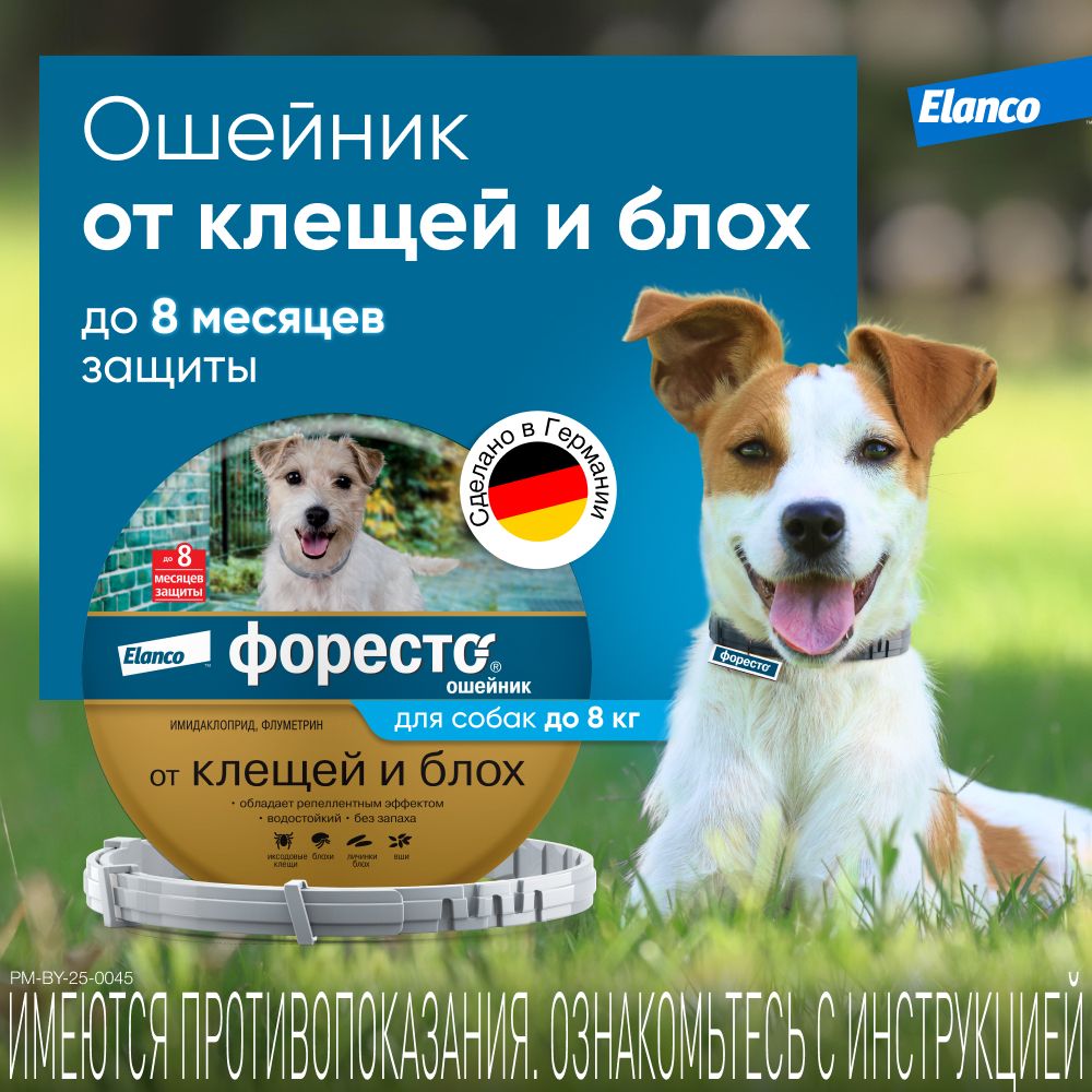 Форесто, ошейник для собак менее 8 кг против блох, клешей и вшей