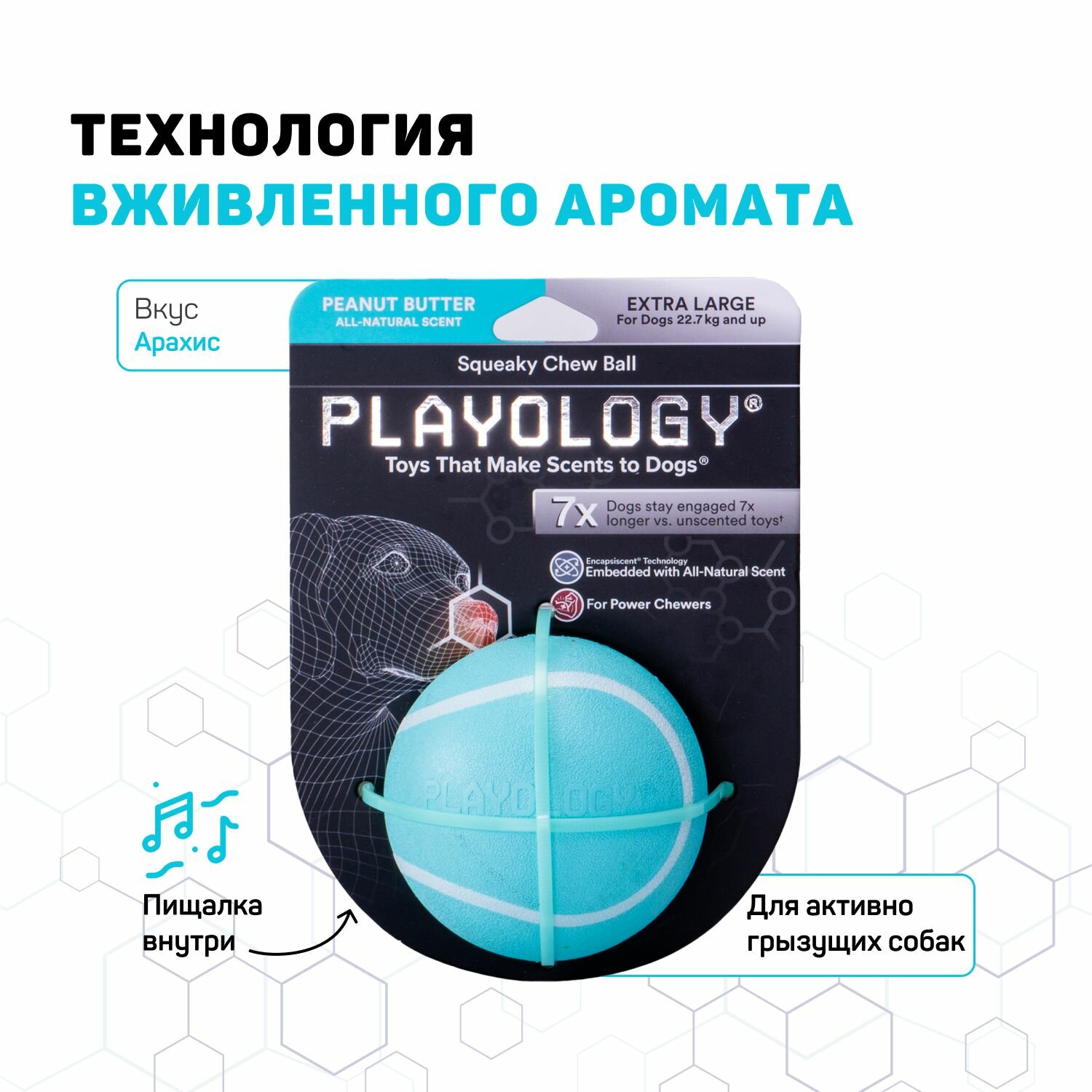Жевательный мяч для собак мелких и средних пород Playology SQUEAKY CHEW BALL 6 см, голубой