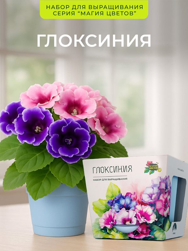 Глоксиния Набор для выращивания растений от бренда "Магия цветов"