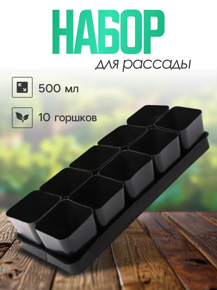 Набор для рассады: стаканы по 500 мл (10 шт.), поддон 40 × 19,5 см, микс, Greengo