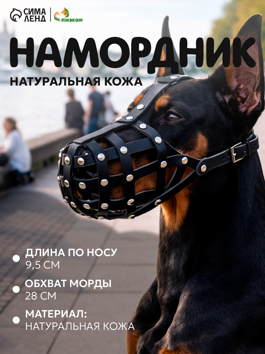 Намордник кожаный №2, сетчатый, с перемычкой, доберман, длина по носу 9.5 см, обхват морды 28 см