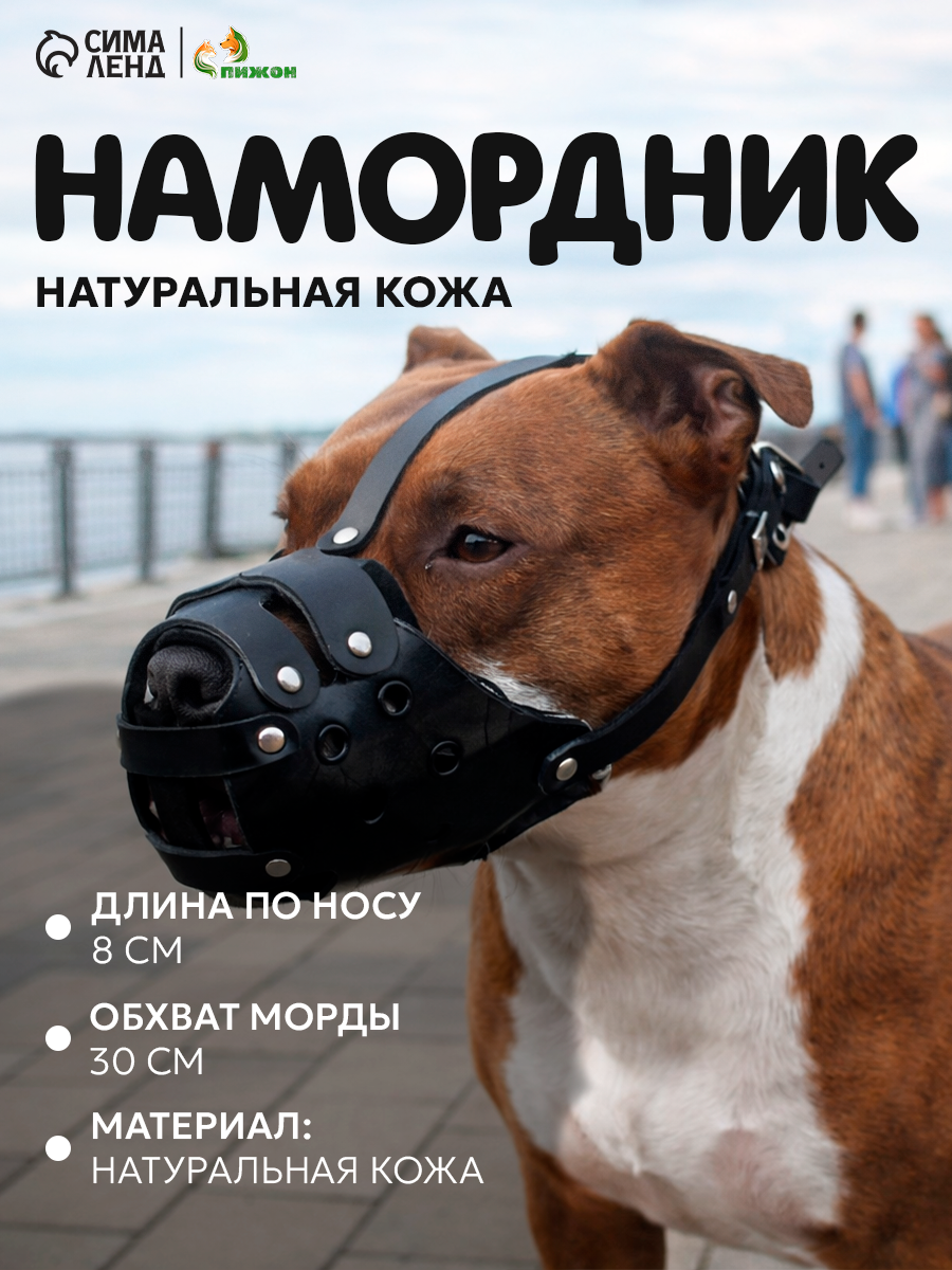 Намордник кожаный цельнокроенный питбультерьер, ДН 8 см, ОМ 30 см, чёрный