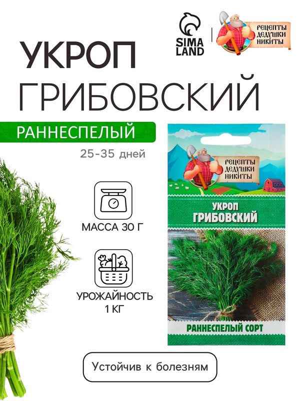 Семена Рецепты дедушки Никиты Укроп «Грибовский», пряный, с ярким анисовым ароматом, 2 г