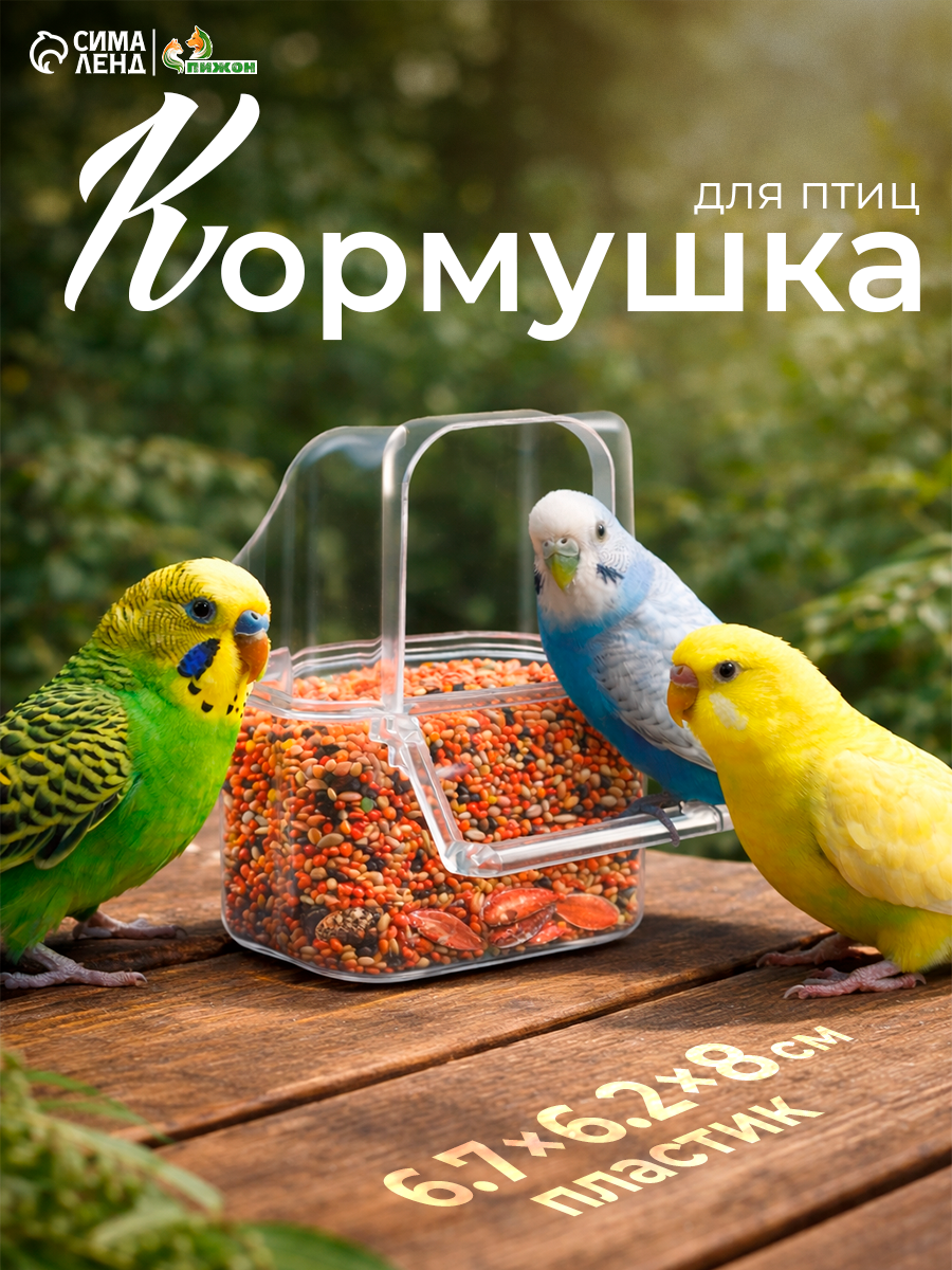 Кормушка для птиц Пижон, внешняя, 6,7 х 6,2 х 8 см, пластик, прозрачный