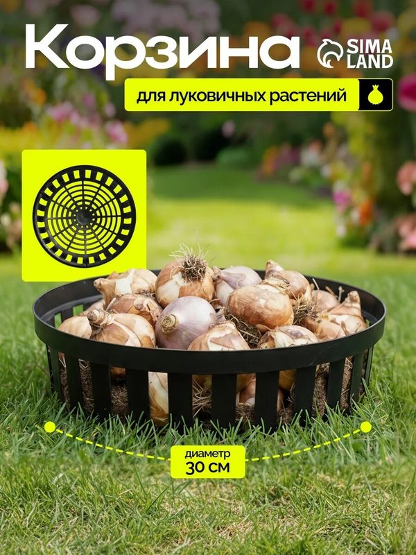 Корзина для посадки луковичных растений, круглая, d = 30 см, h = 8 см, чёрная