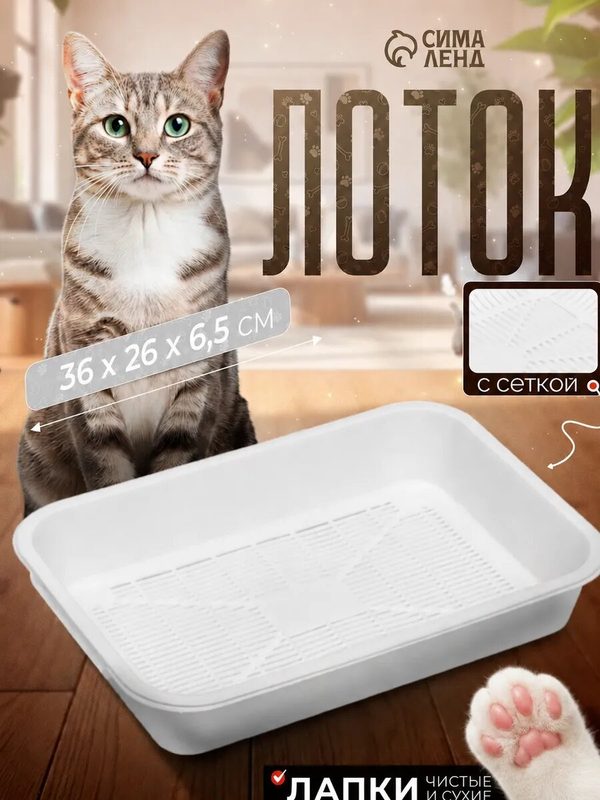 Туалет для кошек с сеткой, 36 х 26 х 6,5 см, белый, прямоугольный лоток