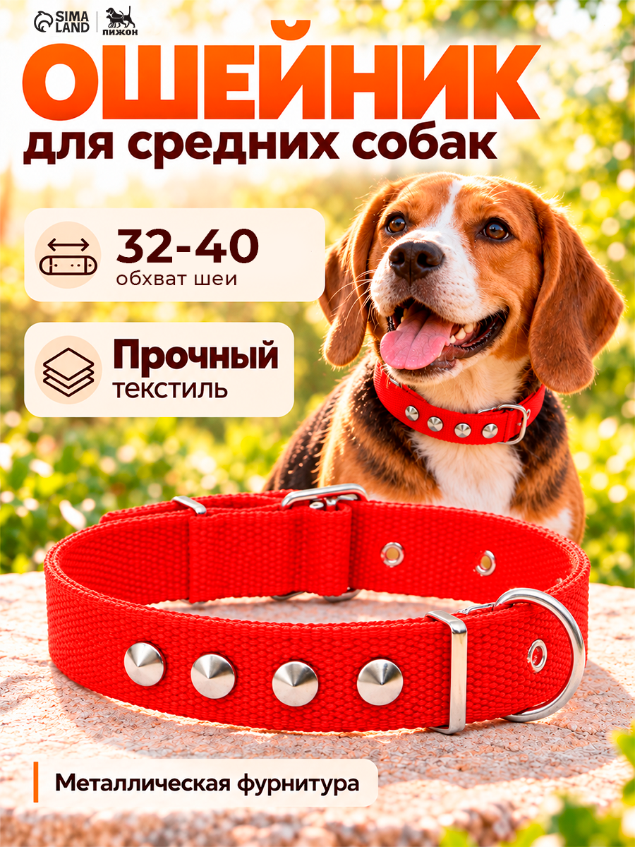 Ошейник Пижон, полиэстер, универсальный, регулируемый, ОШ 32-40 см, красный