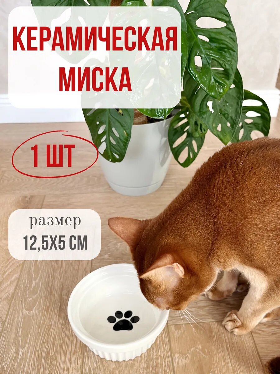 Миска Qalla "Лапка", керамика, для грызунов, кошек, собак, 300мл