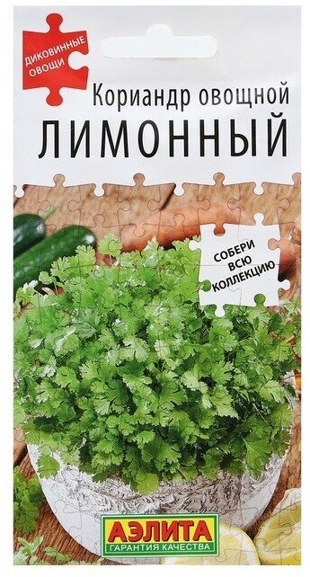 Семена Кориандр овощной «Лимонный», 0.5 г, «Агрофирма аэлита»