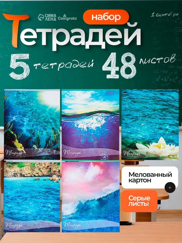 Тетради 5 штук, 48 листов в клетку, Calligrata «Океан», серые листы