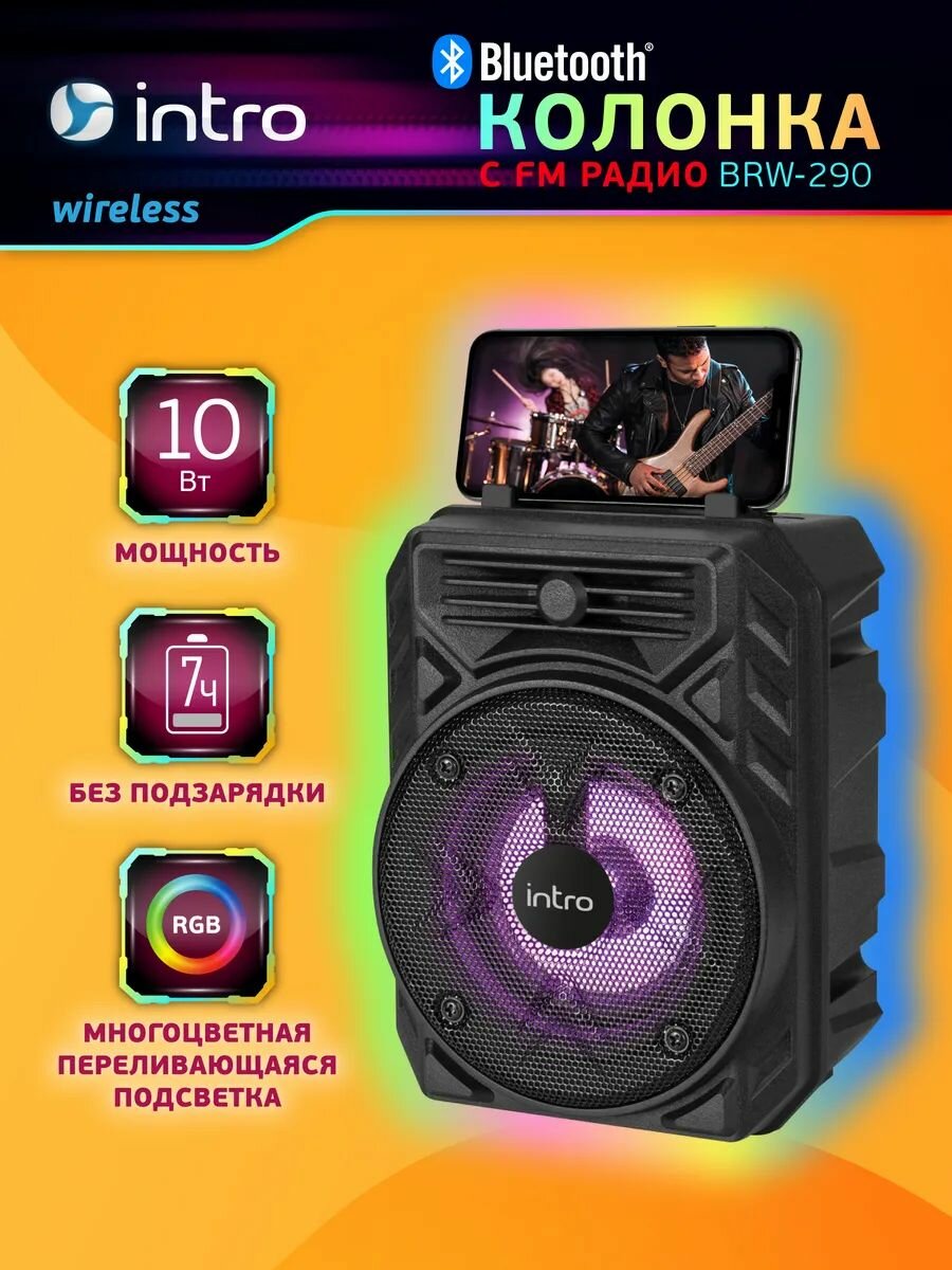 Колонка блютуз беспроводная Intro BRW290 музыкальная портативная караоке с радио, Bluetooth 5.0, microSD