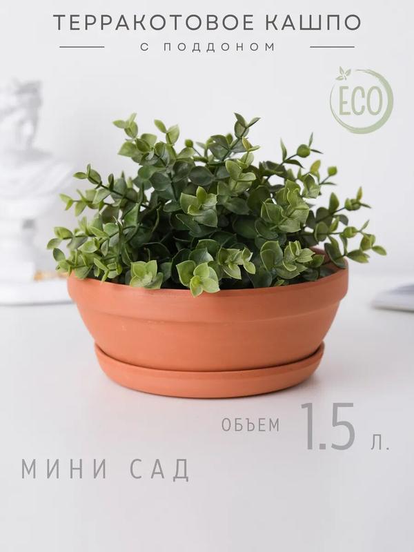 Горшок терракотовый плоский кашпо, объем 1.5л, с дренажным отверстием, с поддоном