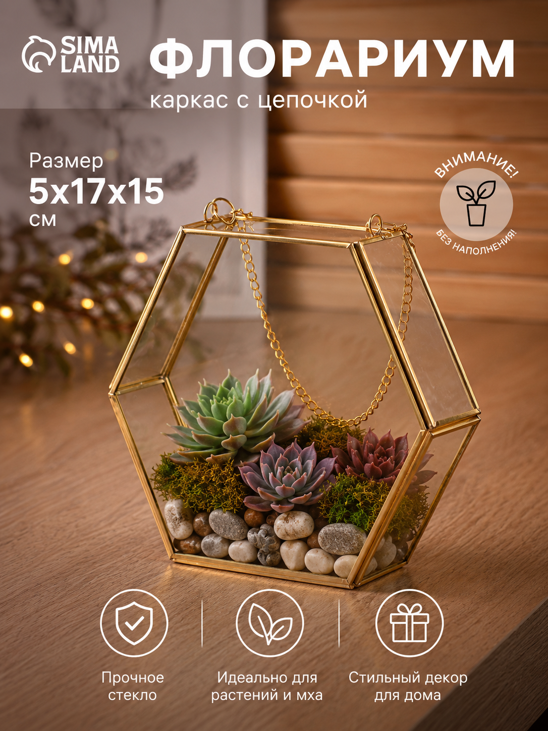 Флорариум-каркас с цепочкой, 5×17×15 см, стекло, прозрачный, золотистый