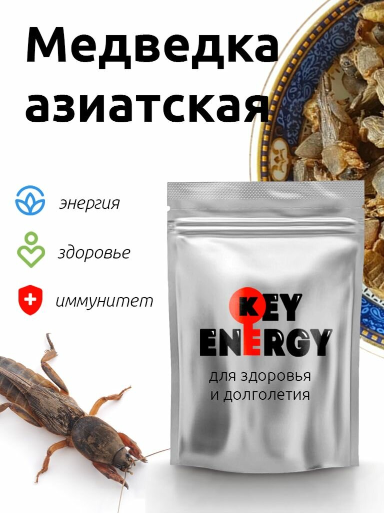 Сушеная медведка из Азии - дышите полной грудью (30г, цельная)