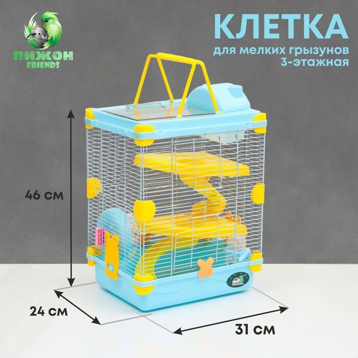 Клетка для грызунов "Пижон", 31 х 24 х 46 см, голубая 7861066