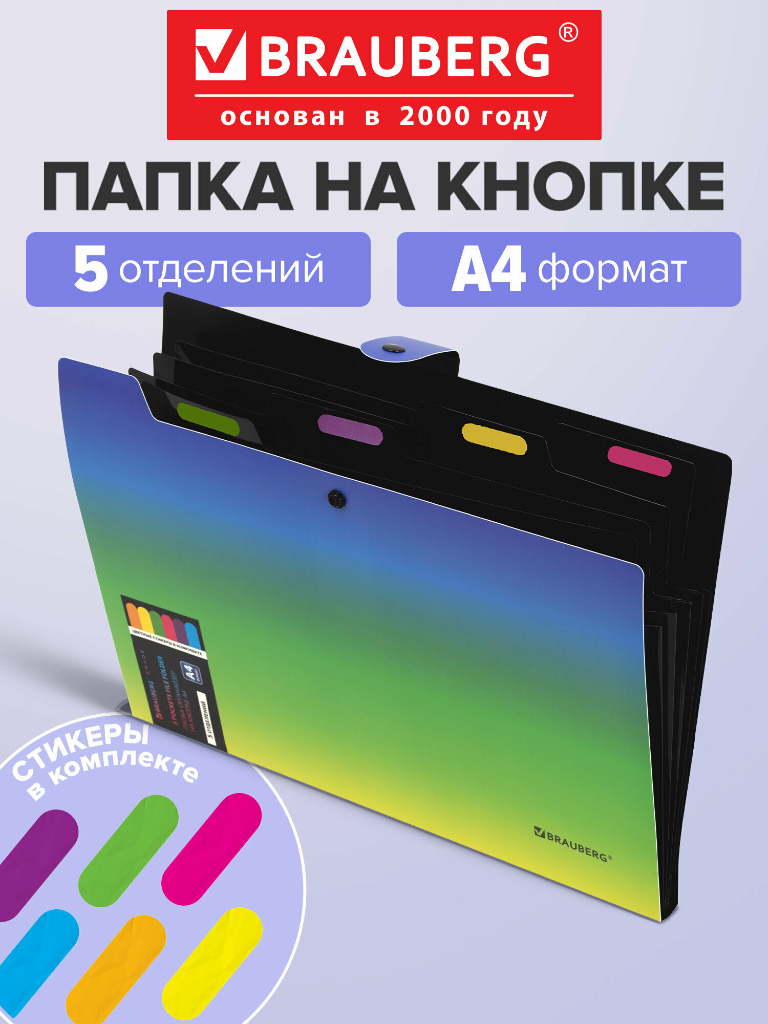 Папка для документов А4 канцелярская на кнопке, органайзер для бумаг 5 отделений, Brauberg Grade, 274092