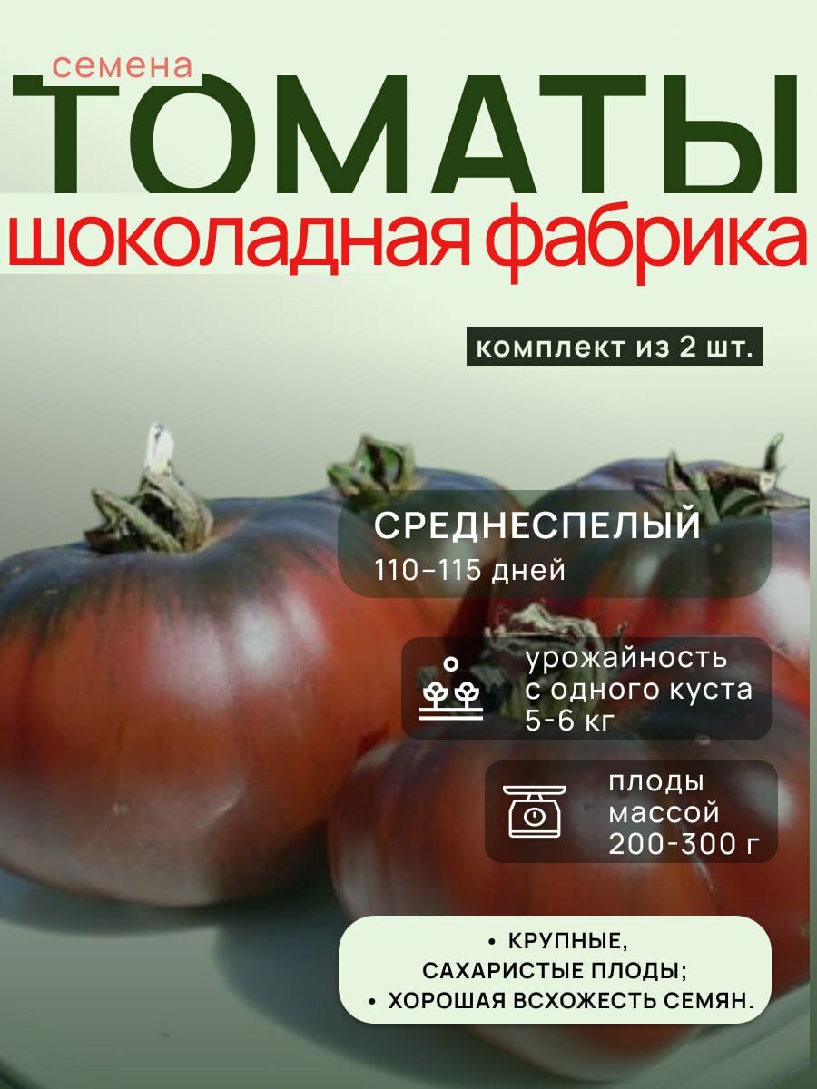 Семена томатов Агрофирма аэлита "Шоколадная Фабрика", сладкие, сочные, 2 пачки