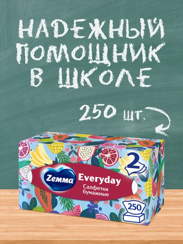 Салфетки бумажные в коробке Zemma Everyday, 2 слоя, 250 шт, без аромата