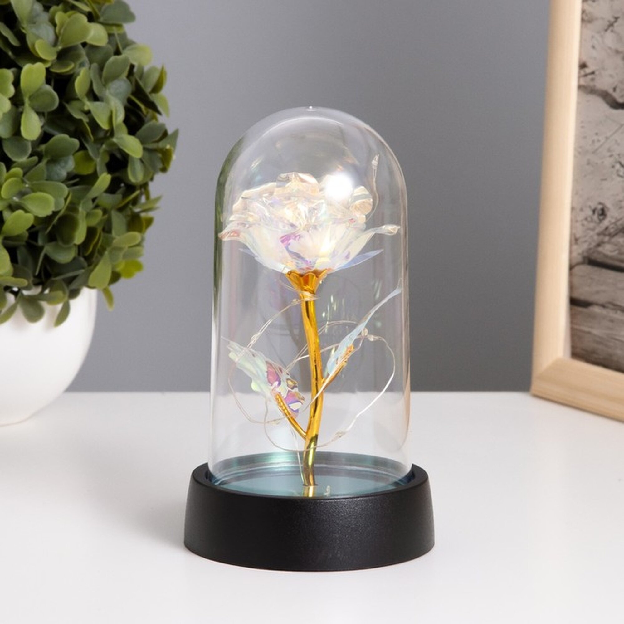 Фигурка светящаяся колба RISALUX «Цветок», LED-ночник, 3×AG10, белый, 8.5×8.5×15.5 см