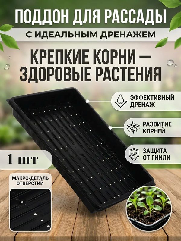 Поддон для рассады с отверстиями