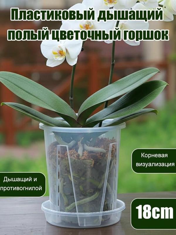 Вазон, 1 шт, цвет прозрачный