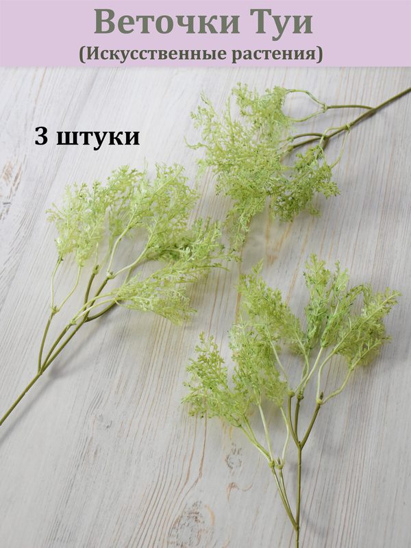 Ветки мелкого можжевельника 3 шт./ Хвойное растение / Хвоя можжевеловая