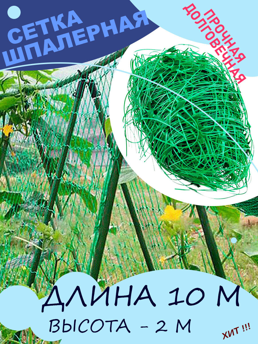 Сетка Шпалерная, 2 х 10м