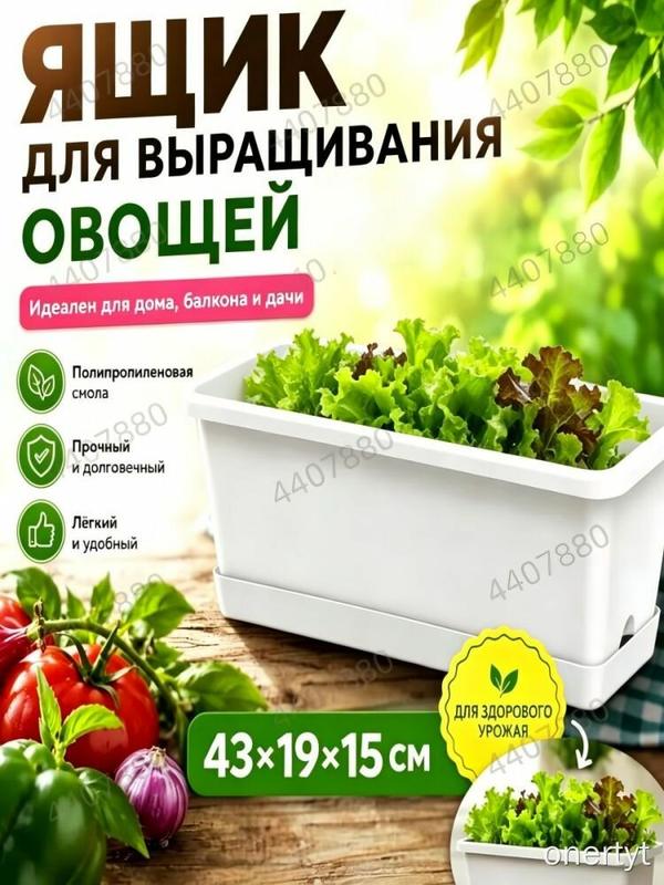 Ящик для выращивания овощей белый, 14л, 43×19×15 см, для дома, балкона и дачи, полипропиленовый