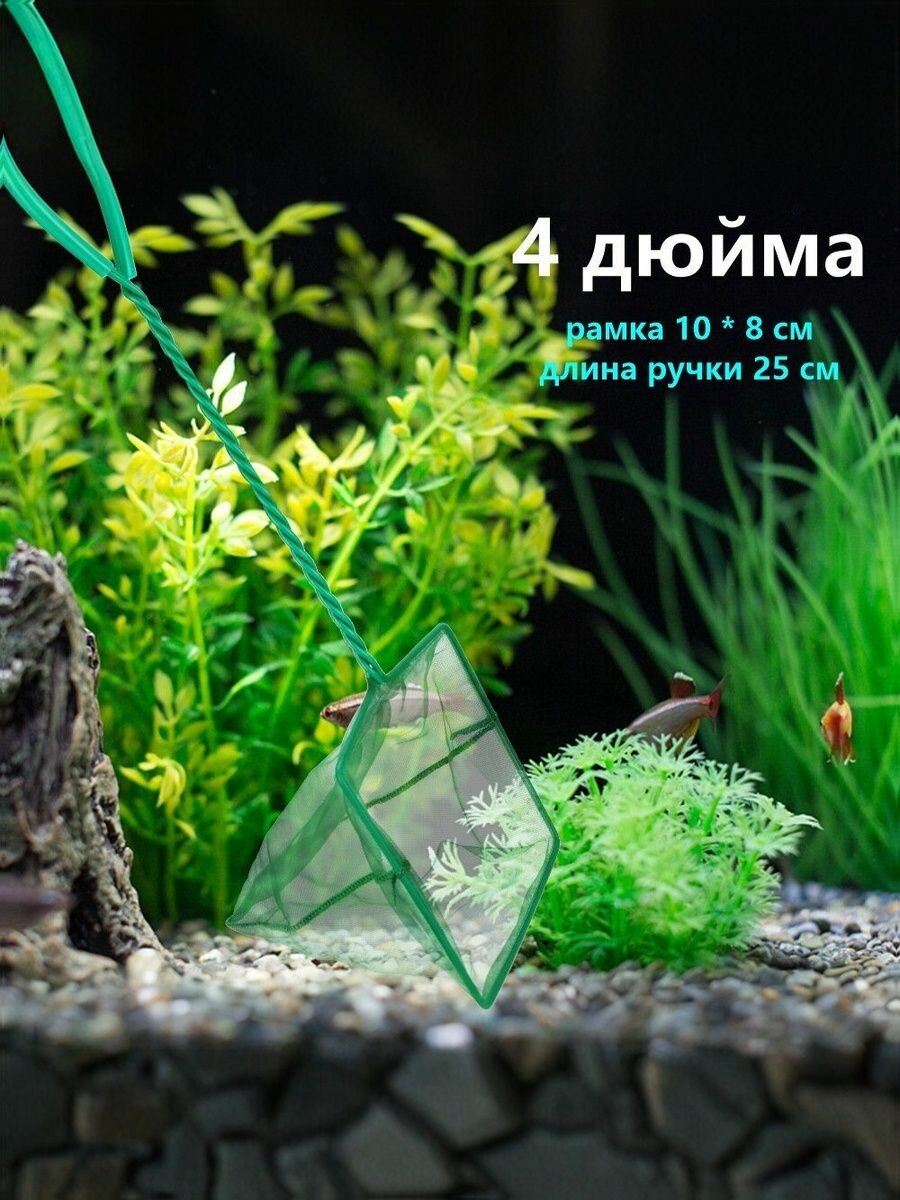 4 дюйма Сачок для аквариума, Ловля квадратной рыбы в зеленом аквариуме аквариумный сачок квадратная рыба