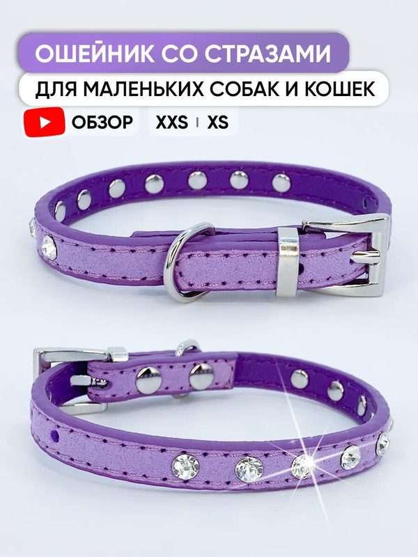 Фиолетовый ошейник со стразами для собак мелких пород и кошек, XS / 22см - 27см