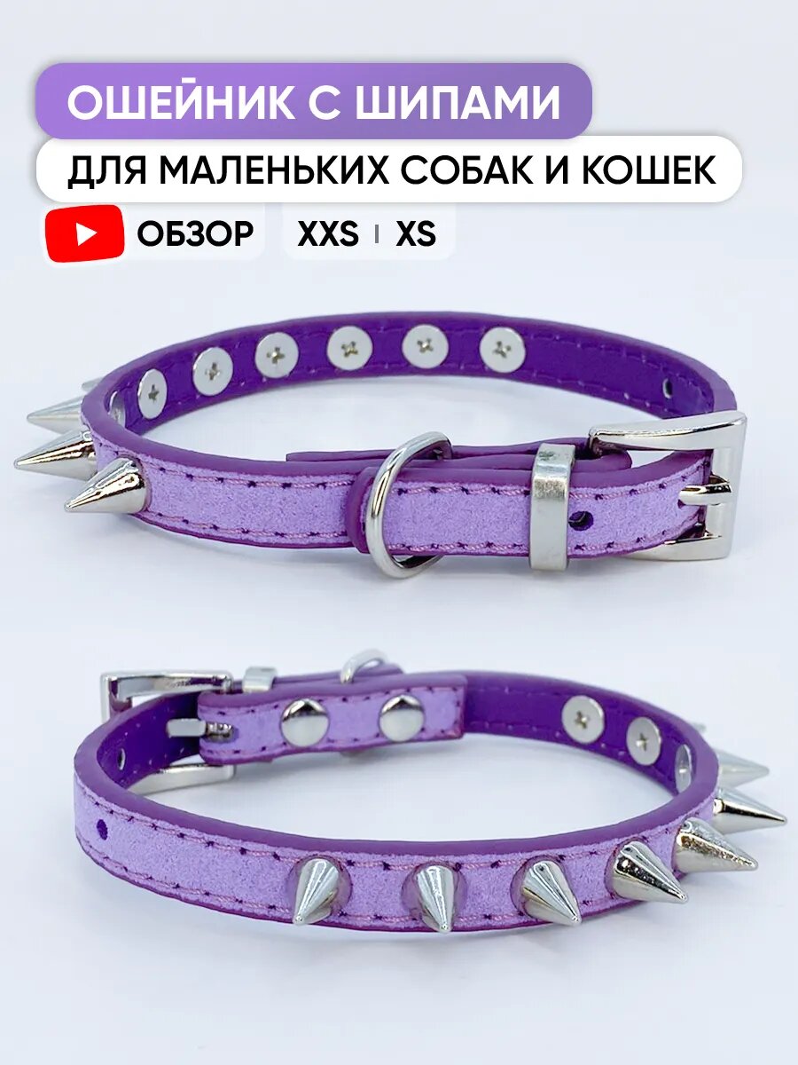 Фиолетовый ошейник с шипами для собак мелких пород и кошек, XS / 22см - 27см