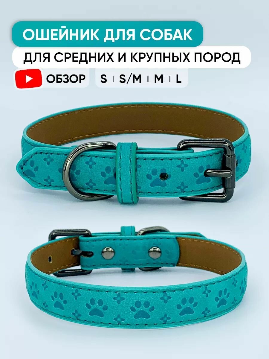 Голубой кожаный ошейник для собак и щенков всех пород, S / 27см - 33см