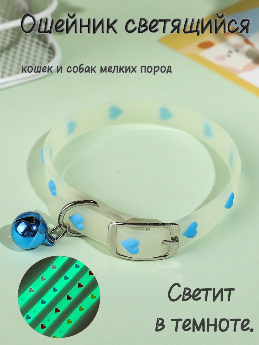 Светящийся ошейник для кошек и собак мелких пород, ночная видимость, регулируемый размер, голубой цвет