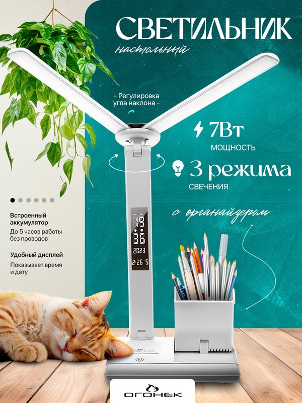 Лампа настольная для школьника с органайзером Огонёк OG-LDP40B