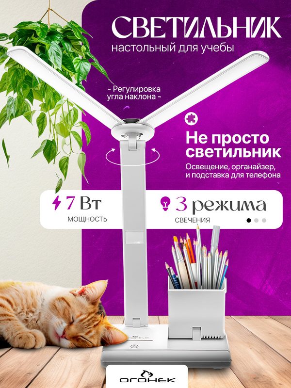 Лампа настольная для школьника с органайзером Огонёк OG-LDP40A