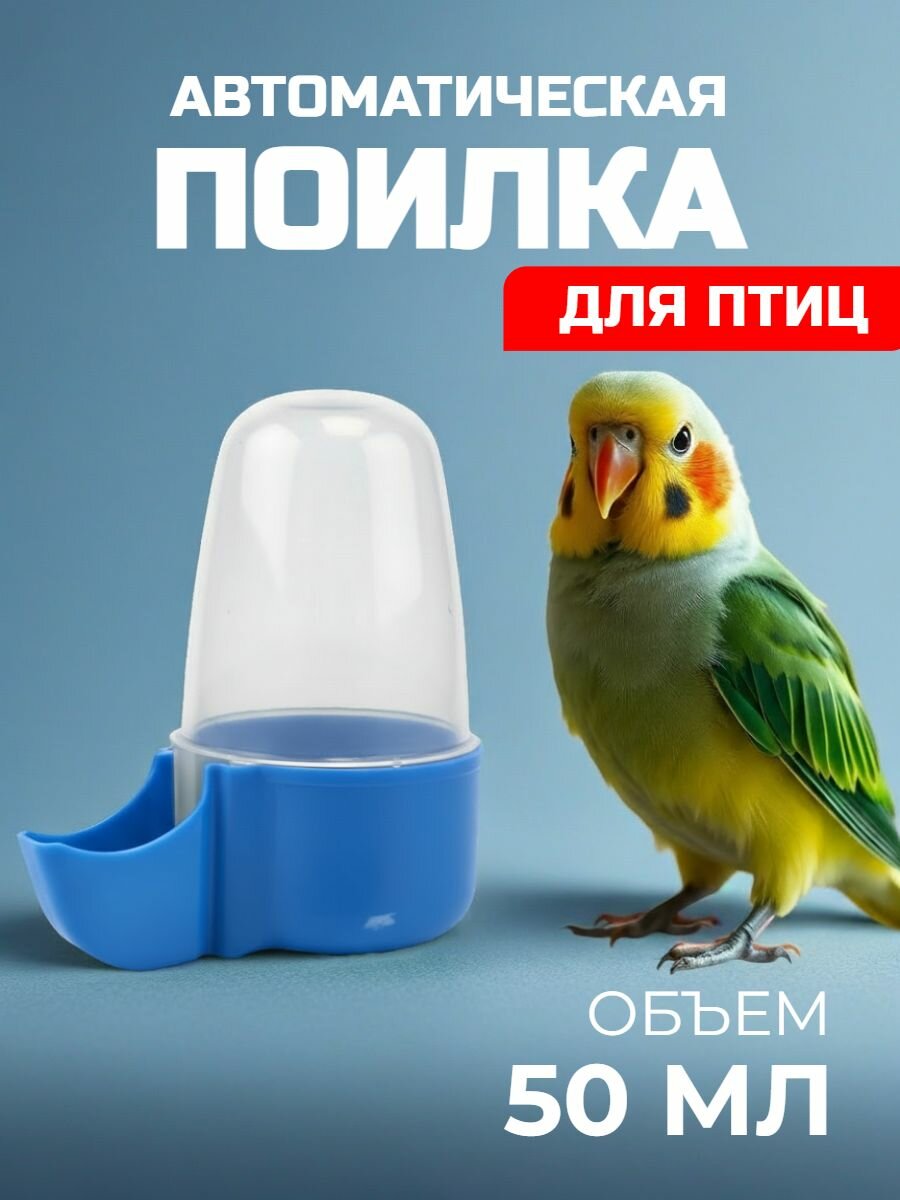 Поилка (автопоилка) для попугаев и птиц в клетку