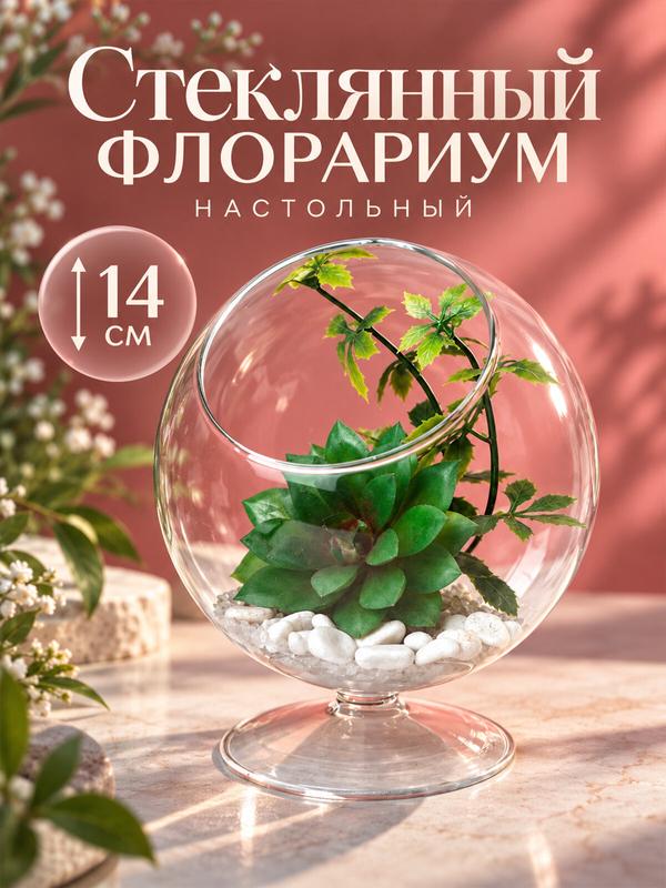 Стеклянный флорариум пустой для растений, на ножке, 14,5х12 см